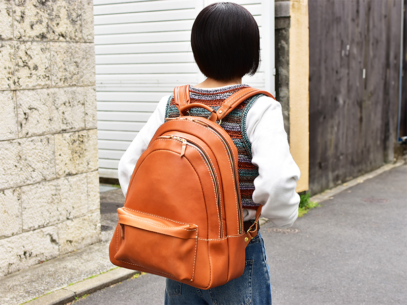 リッジパック(AIB-2605)2