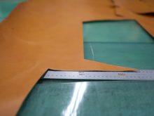 社員研修による休業のお知らせ（6月22日～）