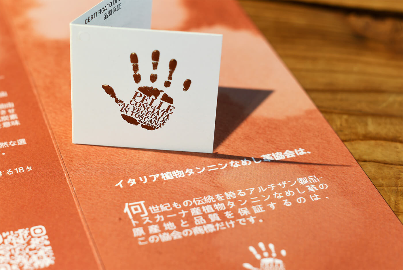 イタリア植物タンニンなめし革協会の冊子