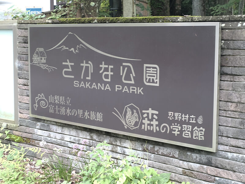 さかな公園