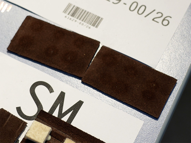 シャラーダ社内2